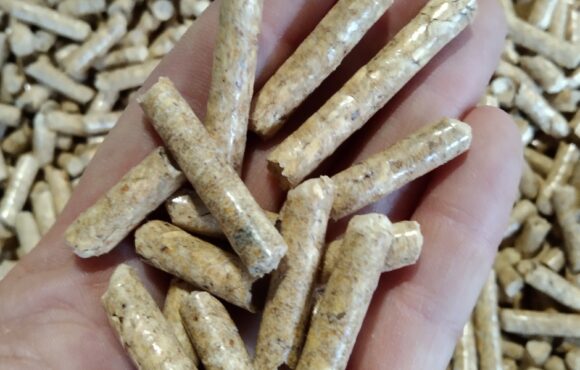BIO-PELLET