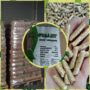 Bio-Pellet – bo grzać się można z głową!