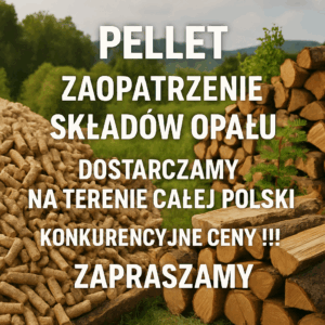 🔥 Pellet sosnowy – ekonomiczne i ekologiczne ogrzewanie!